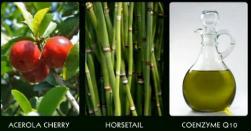 Coenzyme Q-10 สารสกัดจาก Acerola Cherry  Horsetail